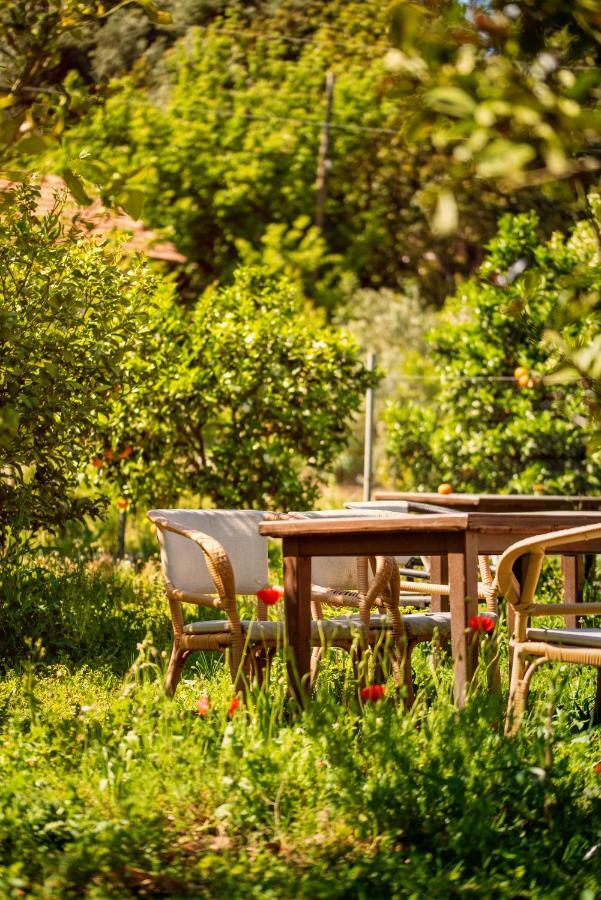San Simon Hotel Çıralı Luaran gambar